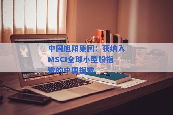 中国旭阳集团：获纳入MSCI全球小型股指数的中国指数