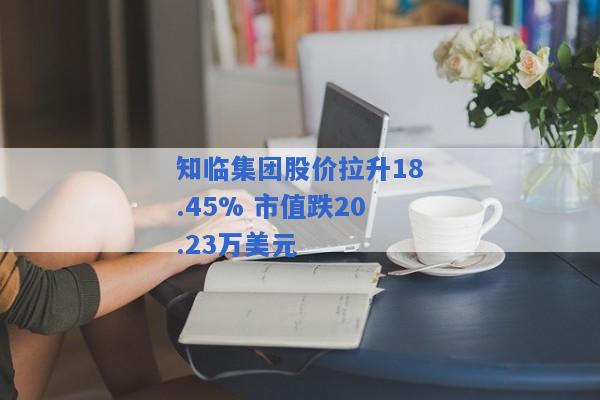 知临集团股价拉升18.45% 市值跌20.23万美元