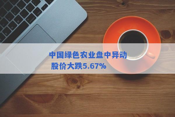 中国绿色农业盘中异动 股价大跌5.67%
