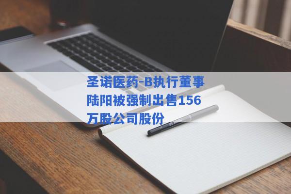 圣诺医药-B执行董事陆阳被强制出售156万股公司股份