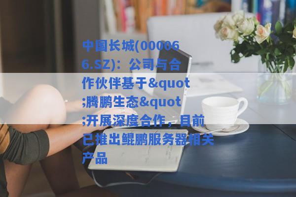 中国长城(000066.SZ)：公司与合作伙伴基于"腾鹏生态"开展深度合作，目前已推出鲲鹏服务器相关产品